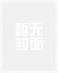最后的汉人正统皇帝
